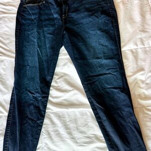 Blue Skinny Jeans 24W Long
